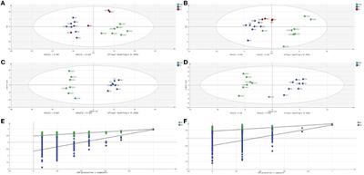 Effects of thiram exposure on liver metabolism of chickens